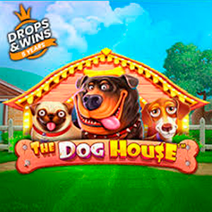 A Dog House para jogadores brasileiros